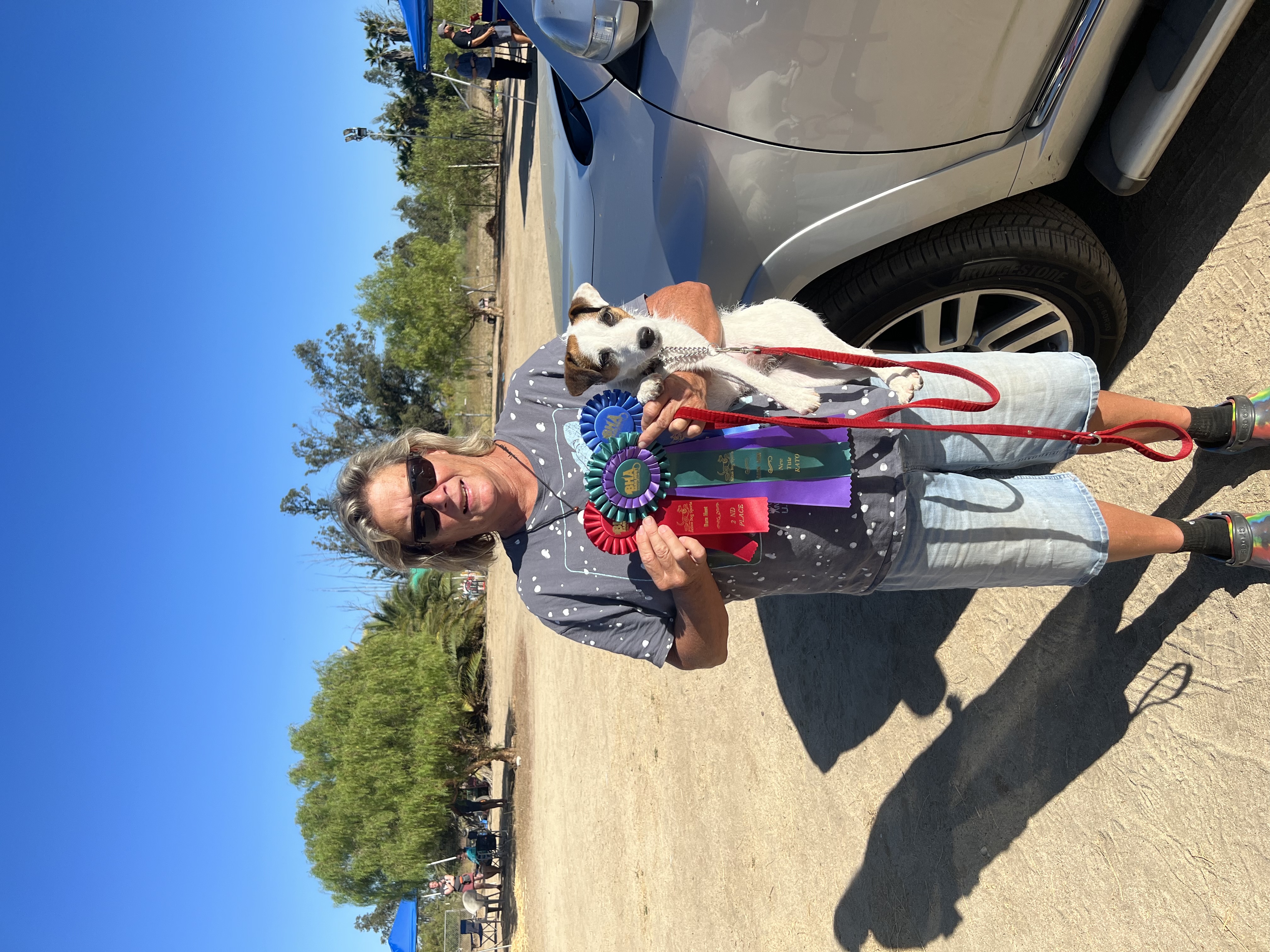 Pipers BHA Open Title